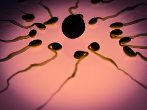 Spermien Qualität verbessern